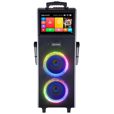Dual Karaoke Party Speaker w/Screen, 10"